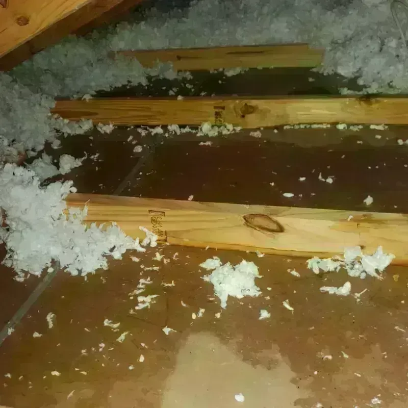 Attic Water Damage in Maury, NC