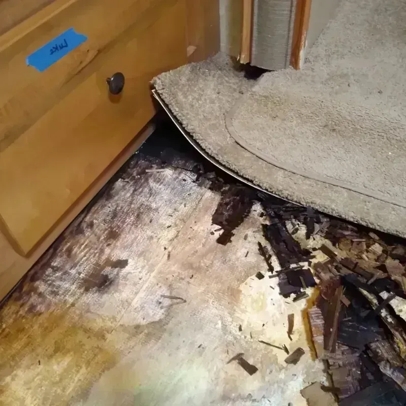 Best Wood Floor Water Damage Service in Maury, NC